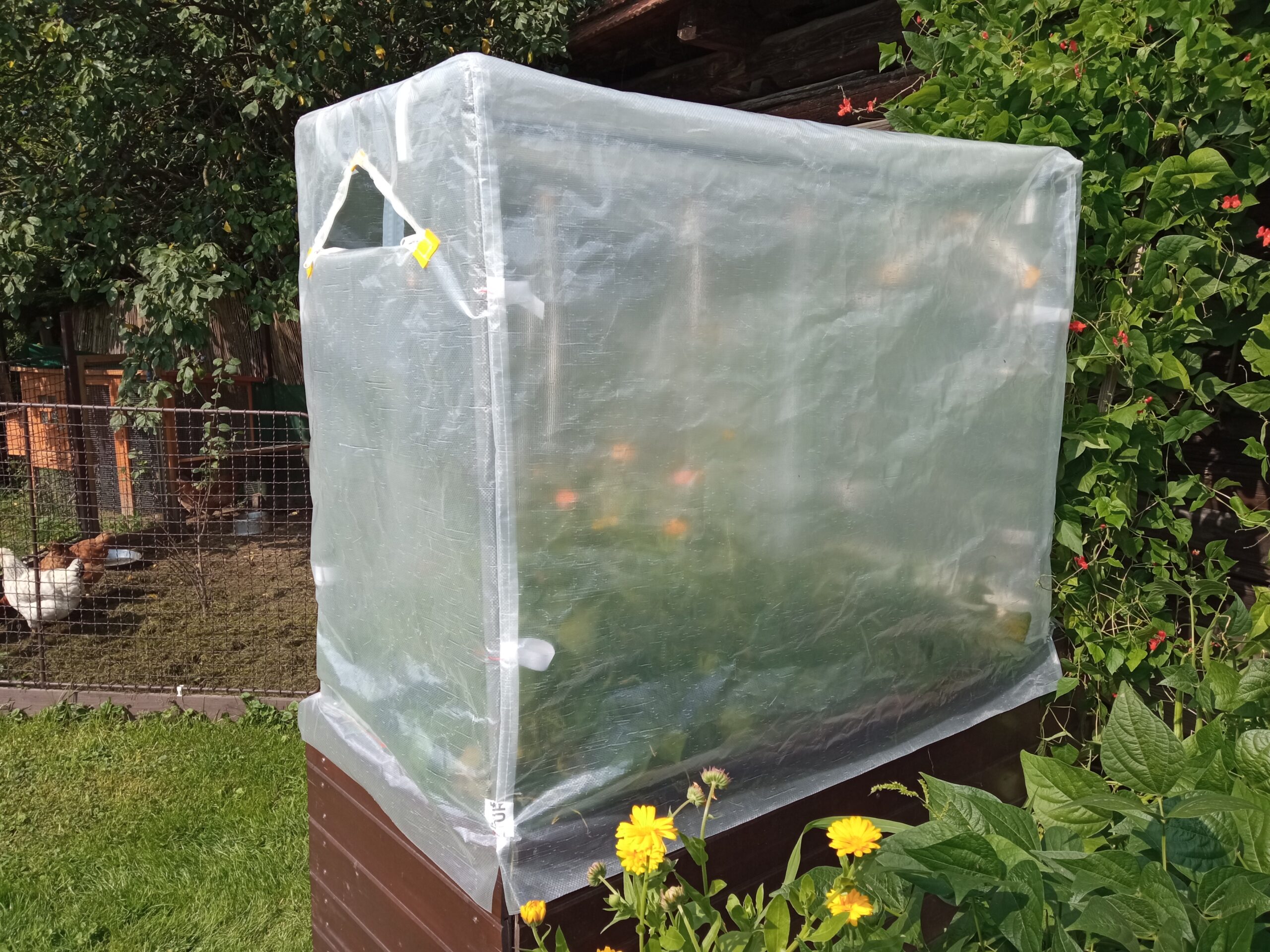 Fóliovník na vyvýšený záhon + pařeniště - Obrázek 7