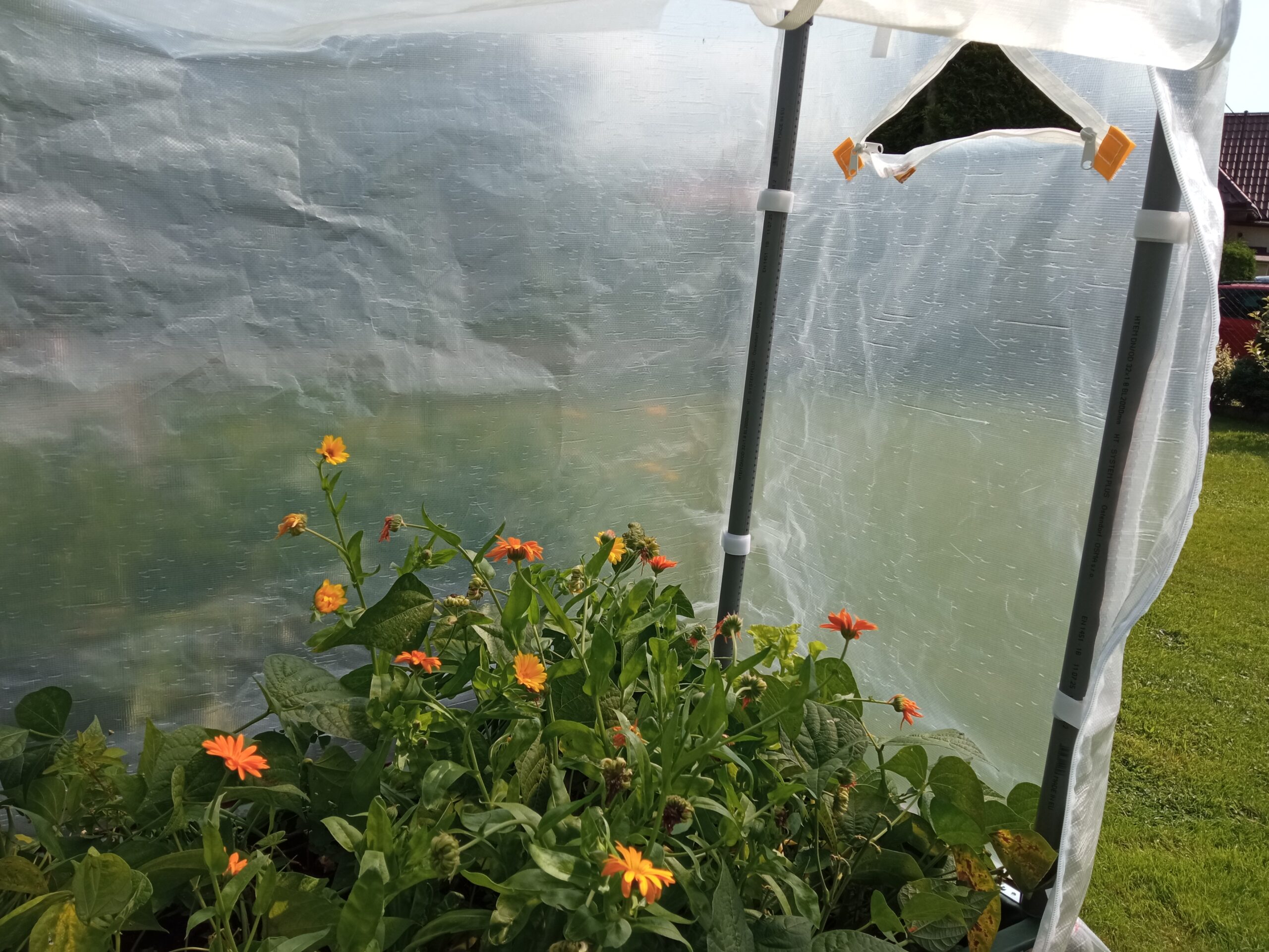 Fóliovník na vyvýšený záhon + pařeniště - Obrázek 4